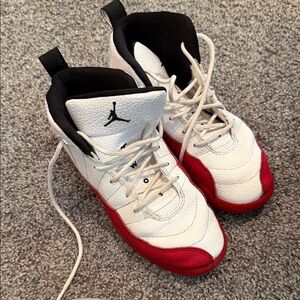 Jordan 12 retro youth 3